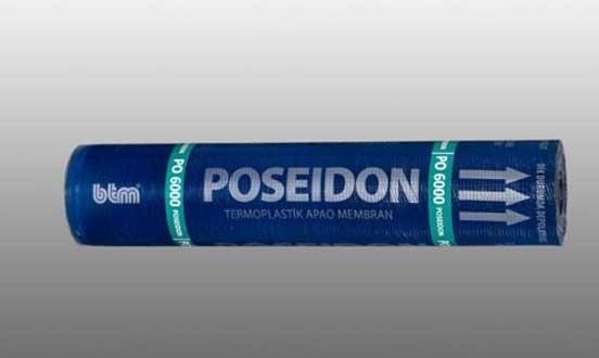 BTM LEVOBİT BTM POSEİDON PO 6000